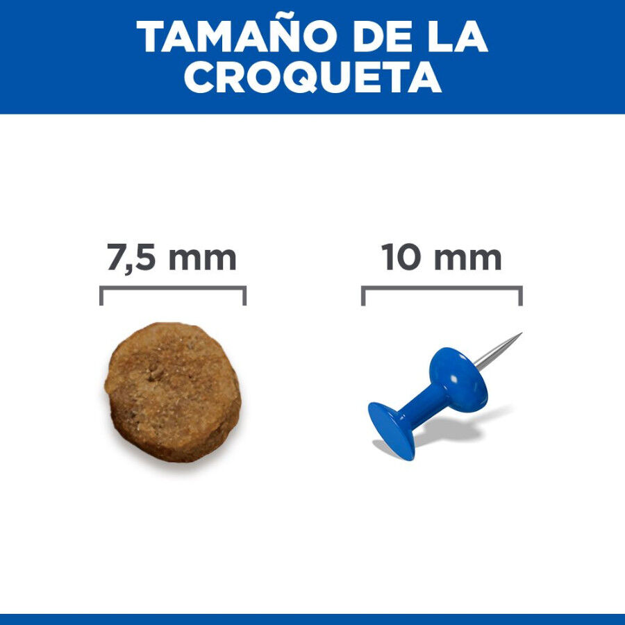 3 kg Hill's Science Plan Mature Adult Small Y Mini Frango ra&ccedil;&atilde;o para c&atilde;es, , large Imagem n&uacute;mero 9