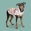 Outech Spring casaco de flores para cães, , large Indicador imagem número 2