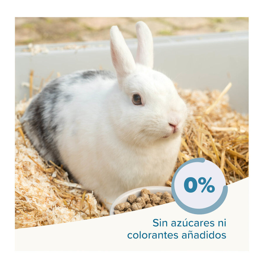 Beaphar Care + ra&ccedil;&atilde;o para coelhos Jr super premium, , large Imagem n&uacute;mero 5