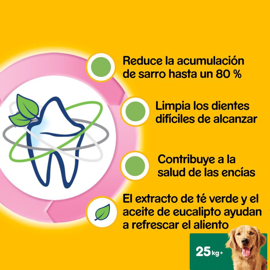 7 sticks Pedigree Dentastix Fresh Snacks Dent&aacute;rios para C&atilde;es Grandes, , large Imagem n&uacute;mero 8