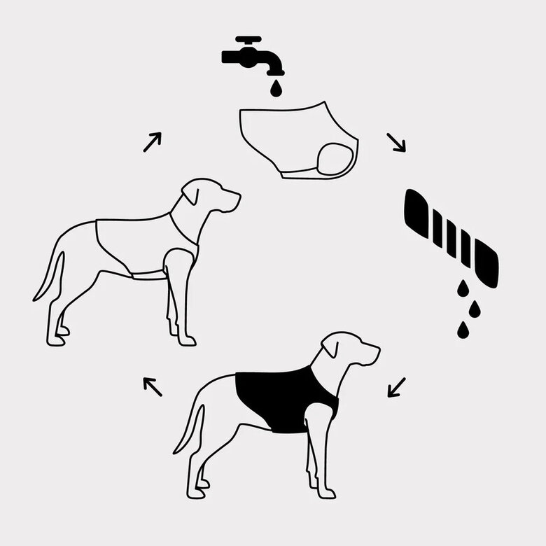 GF Pet ElastoFit Ice Vest Colete Refrescante para cães,  Imagem número 6 GF Pet ElastoFit Ice Vest Colete Refrescante para cães, , large Imagem número 6