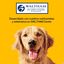 Pedigree Ossos Mastigáveis Good Chew Boi para Cães Pequenos, , large Indicador imagem número 7