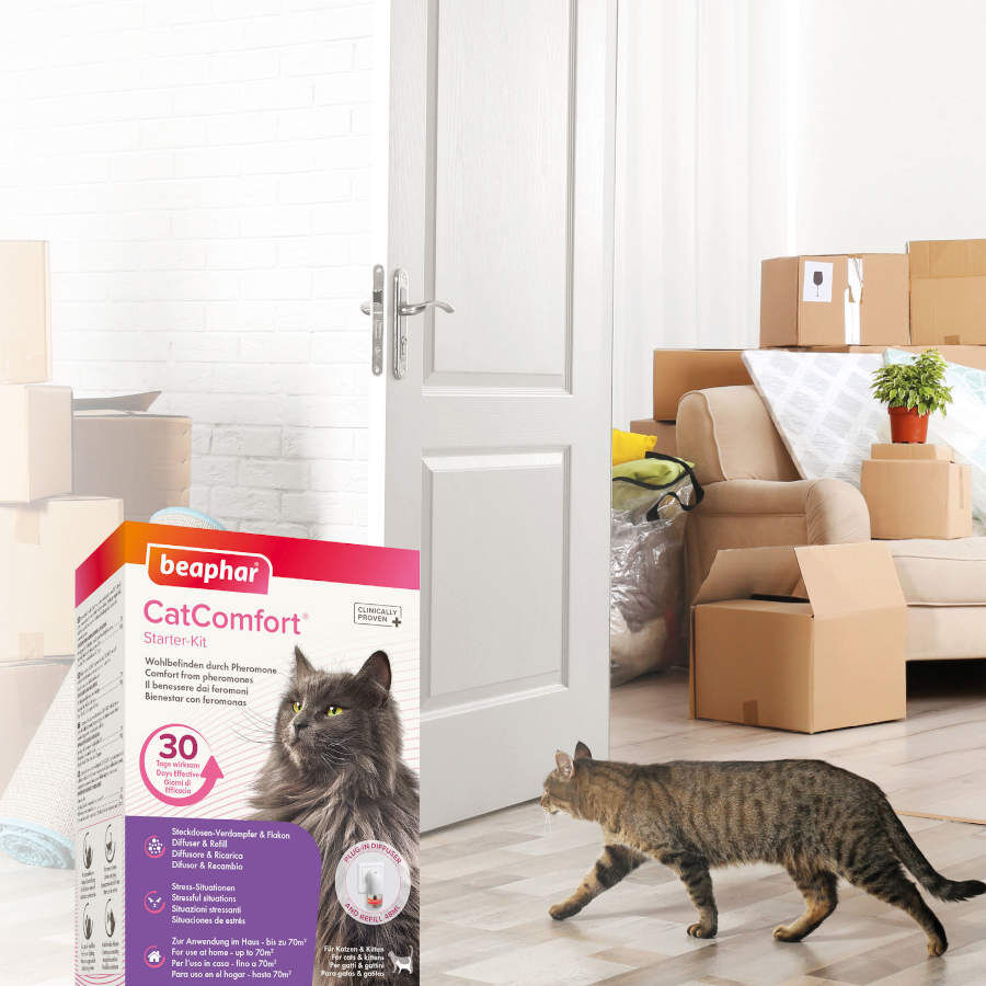 Beaphar CatComfort difusor de odor calmante e recarga para gatos, , large Imagem n&uacute;mero 5