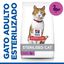 3 kg Hill's Young Adult Science Plan Sterilised Pato ração para gatos, , large Indicador imagem número 2
