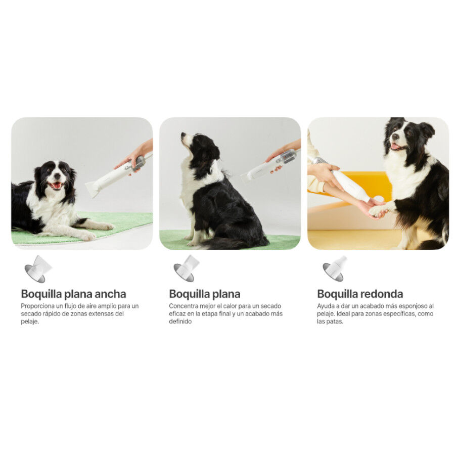Neakasa High-Velocity Pet Dryer Secador para c&atilde;es, , large Imagem n&uacute;mero 8