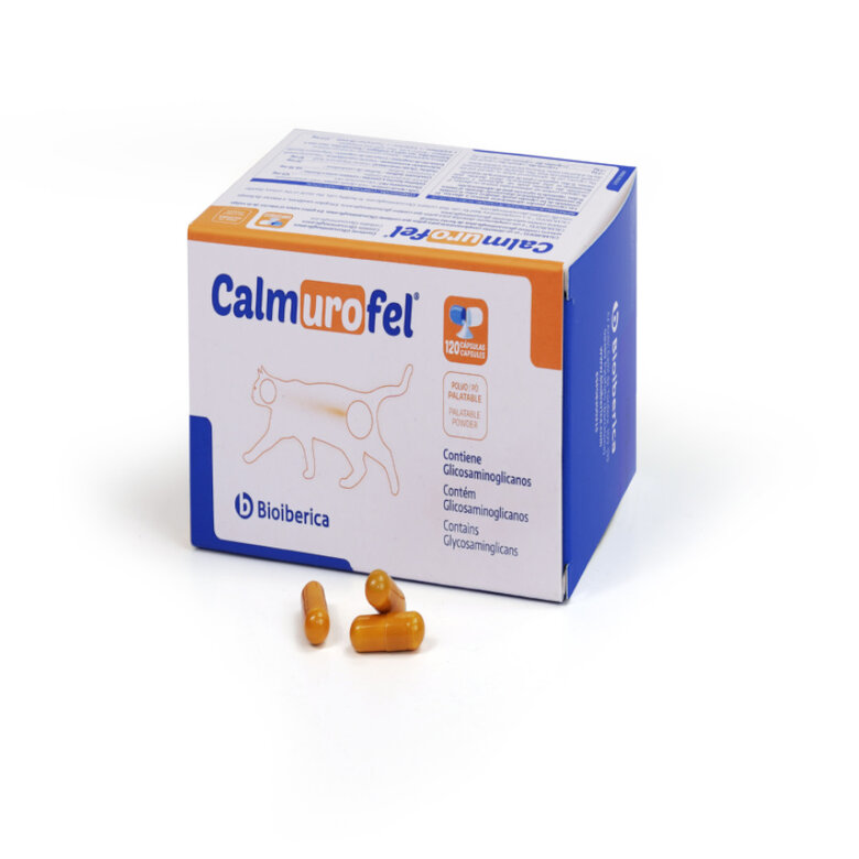 Bioiberica Calmurofel Cápsulas para gatos ,  Imagem número 1 Bioiberica Calmurofel Cápsulas para gatos , , large Imagem número 1