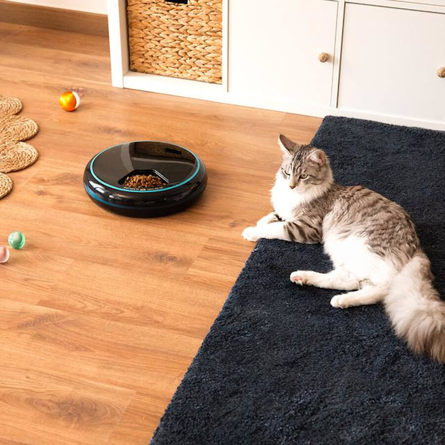 Cecotec Pumba 1600 Purrfect Meal Comedouro Dispensador para c&atilde;es e gatos, , large Imagem n&uacute;mero 5