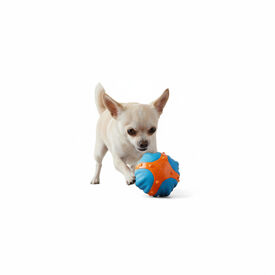 All For Paws Meta Ball  X Bola de ressalto Brinquedo para cães