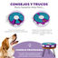 Outward Hound Twister Brinquedo de inteligência para cães, , large Indicador imagem número 4