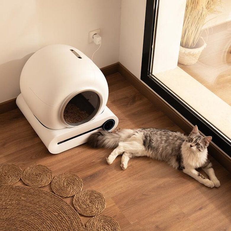 Cecotec Pumba 8000 CleanKitty Smart Caixa sanitária autolimpante para gatos,  Imagem número 5 Cecotec Pumba 8000 CleanKitty Smart Caixa sanitária autolimpante para gatos, , large Imagem número 5