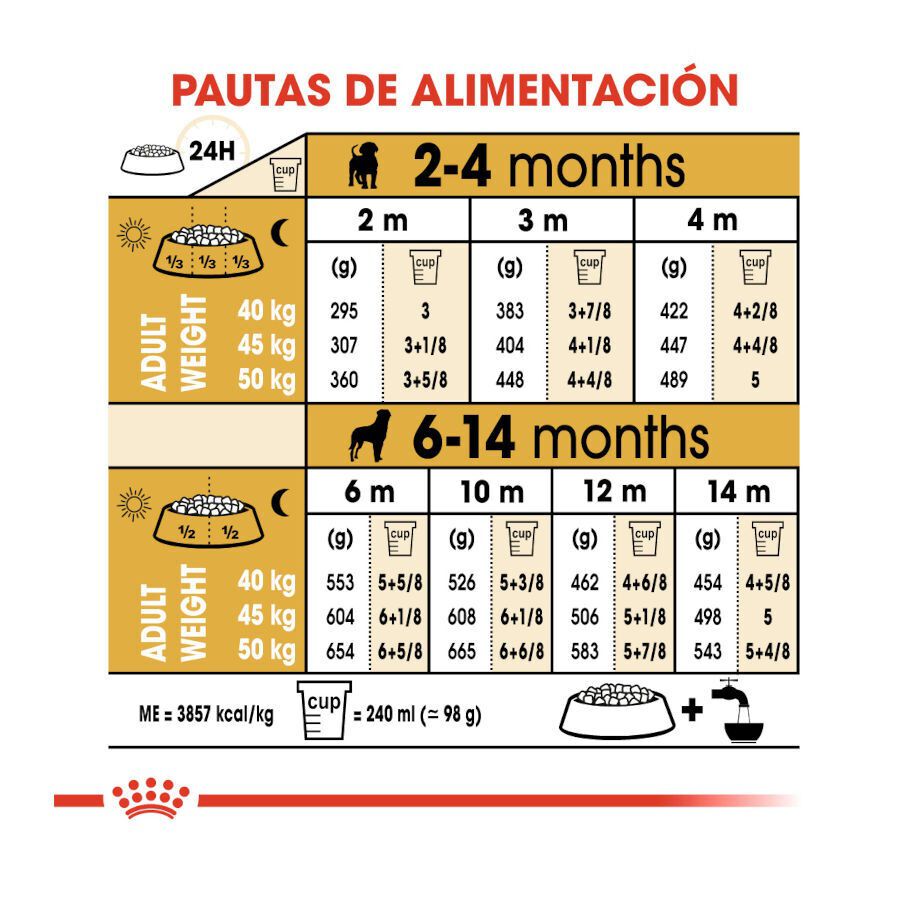 12 kg Royal Canin Puppy Rottweiler ra&ccedil;&atilde;o para c&atilde;es, , large Imagem n&uacute;mero 8