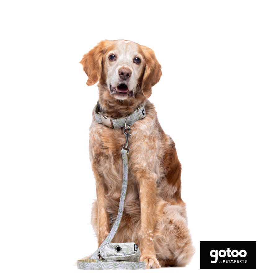 Gotoo Porta sacos estampado folhas para c&atilde;es, , large Imagem n&uacute;mero 3