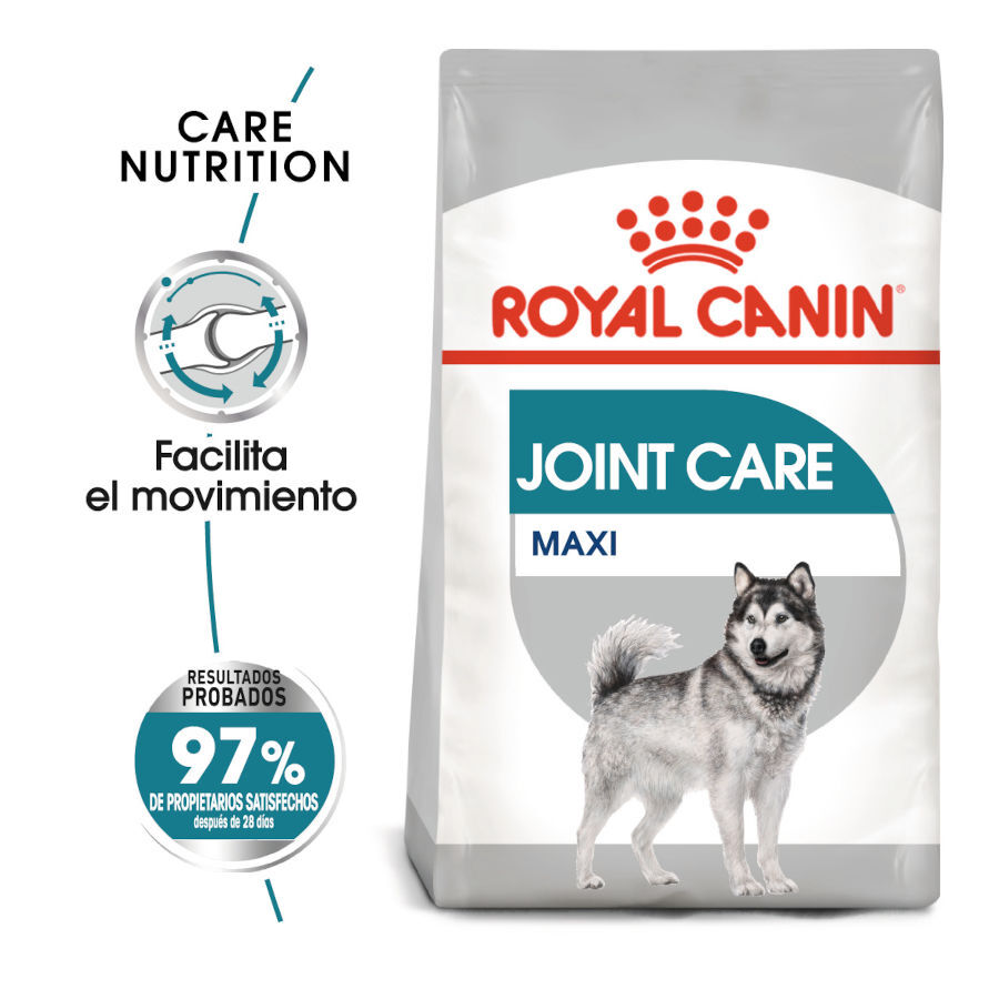 10 kg Royal Canin Joint Care Maxi ra&ccedil;&atilde;o para c&atilde;es, , large Imagem n&uacute;mero 1