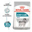 10 kg Royal Canin Joint Care Maxi ração para cães, , large Indicador imagem número 1