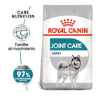 Royal Canin Joint Care Maxi ração para cães, , large image number null