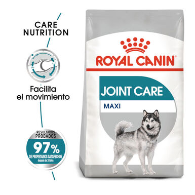 Royal Canin Joint Care Maxi ração para cães