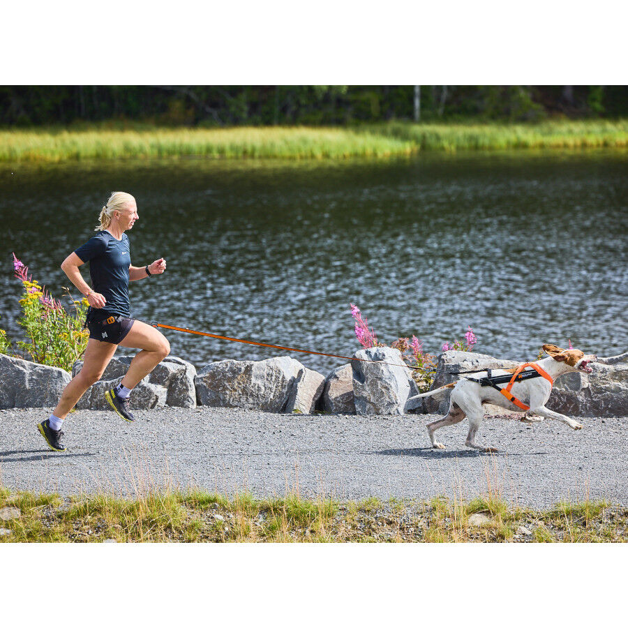 Non-stop dogwear Freemotion Peitoral preto e laranja para c&atilde;es, , large Imagem n&uacute;mero 2