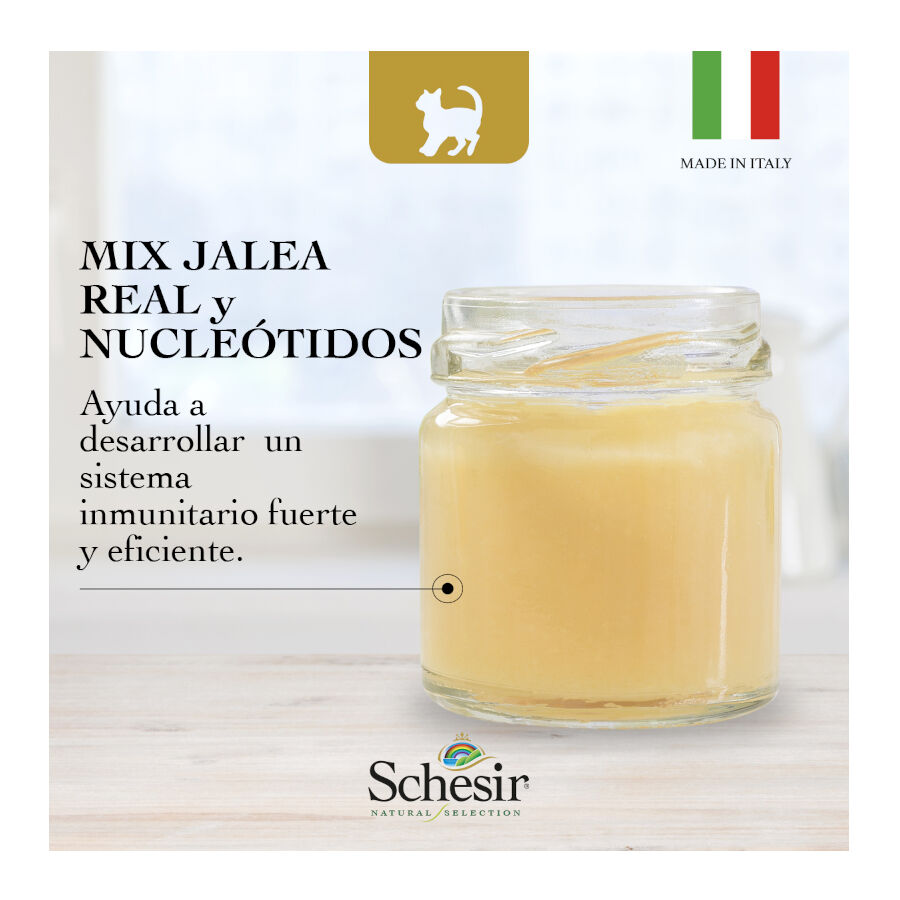 1.4 kg Schesir Kitten Natural Selection Peru ra&ccedil;&atilde;o , , large Imagem n&uacute;mero 7