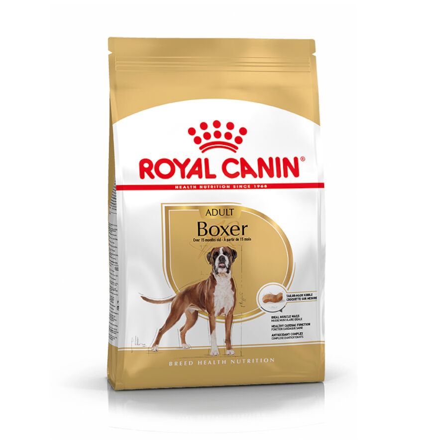 12 kg Royal Canin Adult Boxer ra&ccedil;&atilde;o para c&atilde;es, , large Imagem n&uacute;mero 1