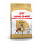 12 kg Royal Canin Adult Boxer ração para cães, , large Indicador imagem número 1