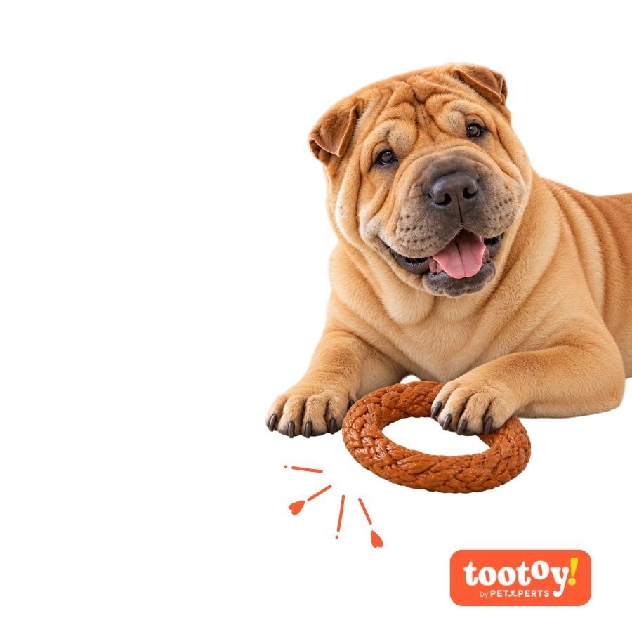 Tootoy! Chew Mordedor Anel Entran&ccedil;ado para c&atilde;es, , large Imagem n&uacute;mero 7