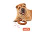 Tootoy! Chew Mordedor Anel Entran&ccedil;ado para c&atilde;es, , large Indicador imagem n&uacute;mero 7