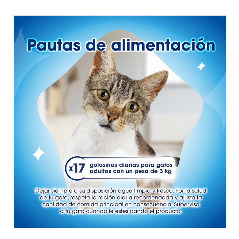 40 g Dentalife Daily Oral Salmão Snacks Dentários para gatos,  Imagem número 6 40 g Dentalife Daily Oral Salmão Snacks Dentários para gatos, , large Imagem número 6
