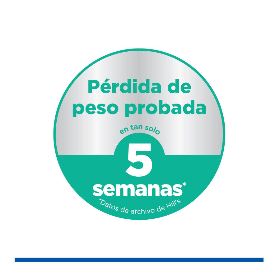 Hill's Science Plan Perfect Weight e Active Mobility Medium Frango ra&ccedil;&atilde;o para c&atilde;es, , large Imagem n&uacute;mero 6