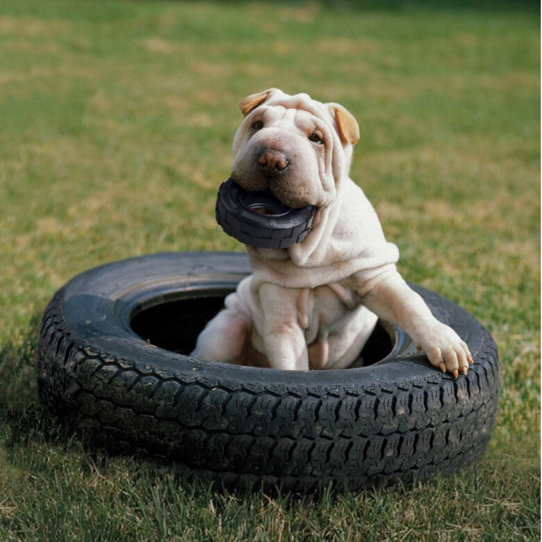 Kong Extreme Traxx pneu brinquedo para cães,  Imagem número 2 Kong Extreme Traxx pneu brinquedo para cães, , large Imagem número 2