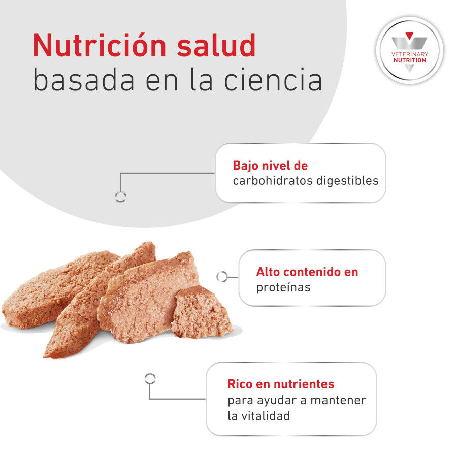 410 g Royal Canin Veterinary Diabetic latas para c&atilde;es, , large Imagem n&uacute;mero 6