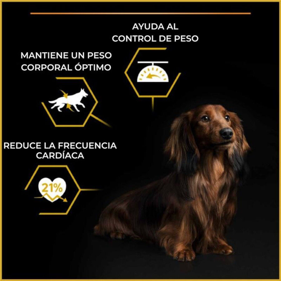 Purina Pro Plan Adult Light Esterilizado Pienso Pollo para perros, , large Imagem n&uacute;mero 4