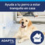 Adaptil Difusor e Recarga Tranquilizante para Cães, , large Indicador imagem número 2