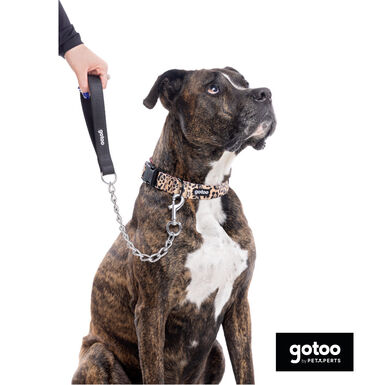 Gotoo Trela com corrente para cães