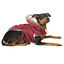 Outech Granada Casaco com Capuz para cães, , large Indicador imagem número 1