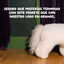 Edgard & Cooper Bio Peru ra&ccedil;&atilde;o para c&atilde;es, , large Indicador imagem n&uacute;mero 10