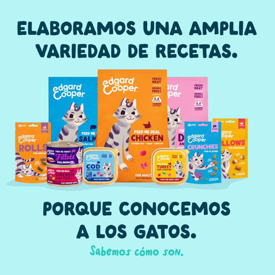 70 g Edgard & Cooper Alimento h&uacute;mido de atum e camar&atilde;o em lata para gatos, , large Imagem n&uacute;mero 9