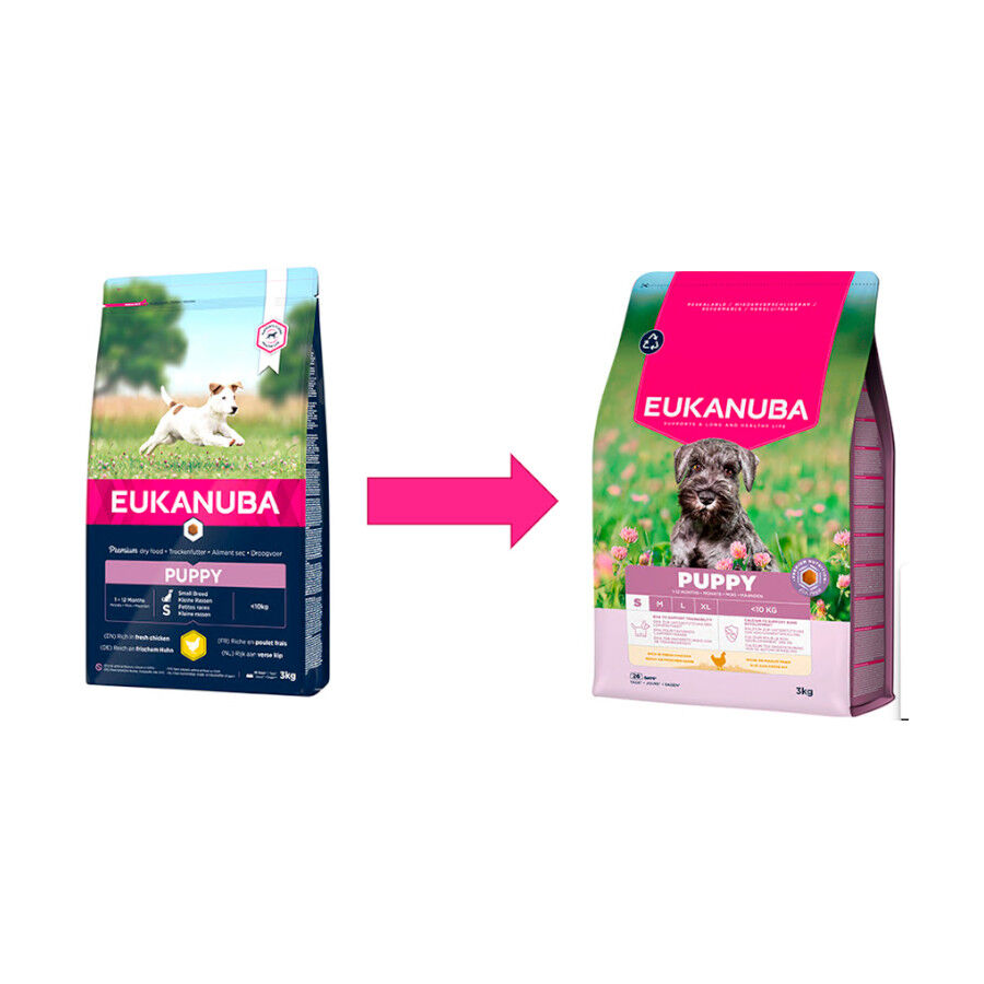 3 kg Eukanuba Puppy Ra&ccedil;&atilde;o de frango para c&atilde;es de ra&ccedil;a pequena, , large Imagem n&uacute;mero 2