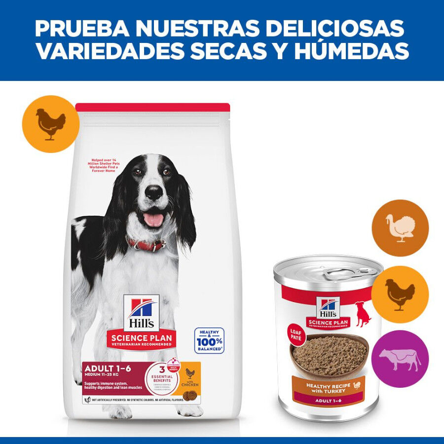 370 g Hill's Adult Science Plan Peru lata para c&atilde;es, , large Imagem n&uacute;mero 6