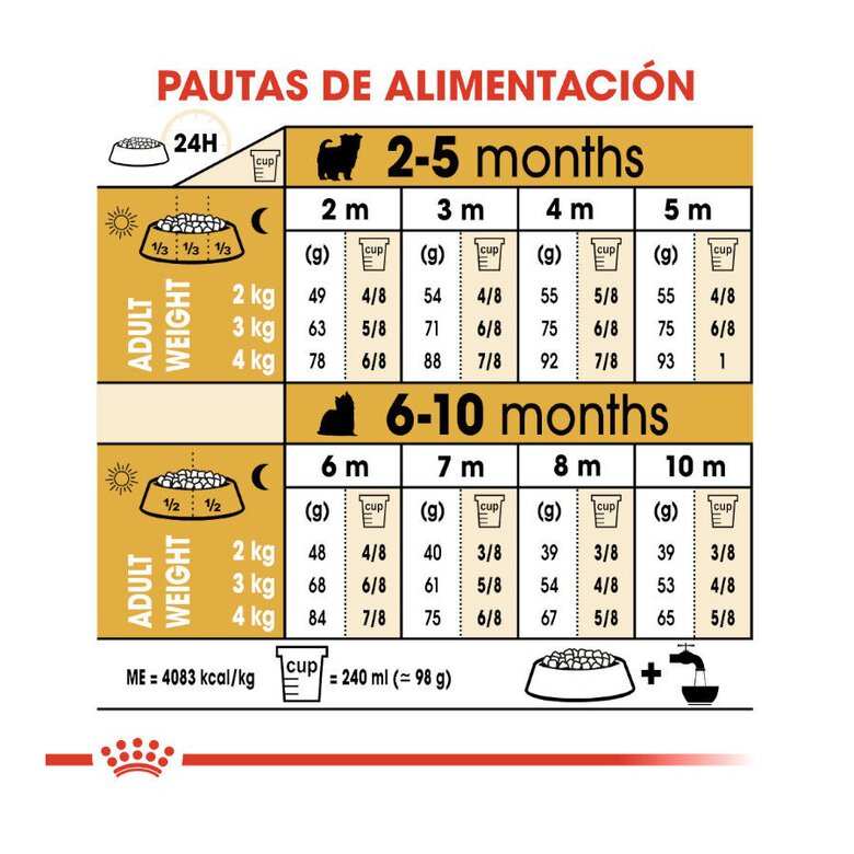 Royal Canin Puppy Yorkshire Terrier ração para cães,  Imagem número 7 Royal Canin Puppy Yorkshire Terrier ração para cães, , large Imagem número 7