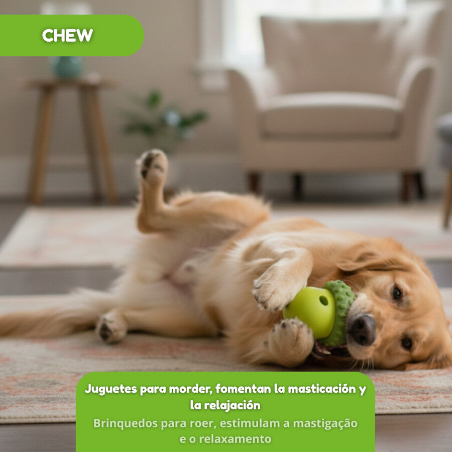 Tootoy! Chew Brinquedo interativo dispensador de snacks para c&atilde;es, , large Imagem n&uacute;mero 6