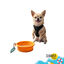 Summer Vibes Foldable Orange Bebedouro Port&aacute;til para c&atilde;es, , large Indicador imagem n&uacute;mero 7