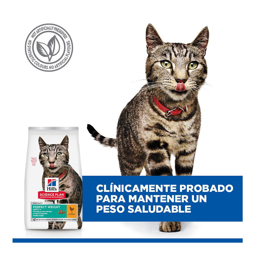 7 kg Hill's Science Plan Perfect Weight Adult frango ra&ccedil;&atilde;o para gatos, , large Imagem n&uacute;mero 4
