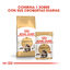 48 saquetas x 85 g Royal Canin Maine Coon alimento húmido para gatos Pack poupança!, , large Indicador imagem número 3