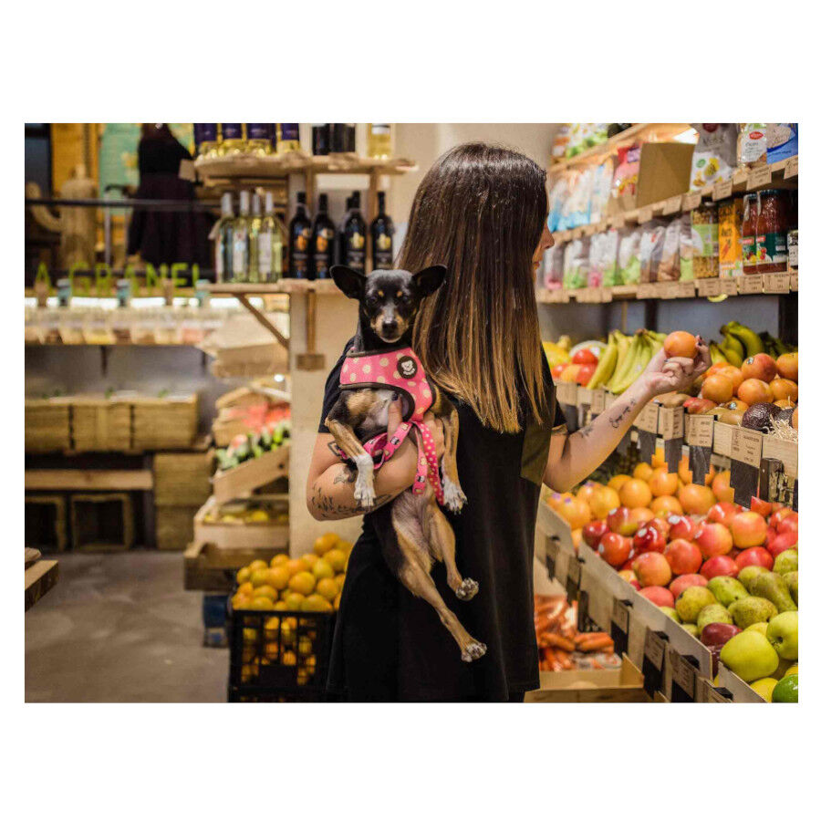 Dukier Dogtella Peitoral revers&iacute;vel com estampado de Nutella para c&atilde;es, , large Imagem n&uacute;mero 3