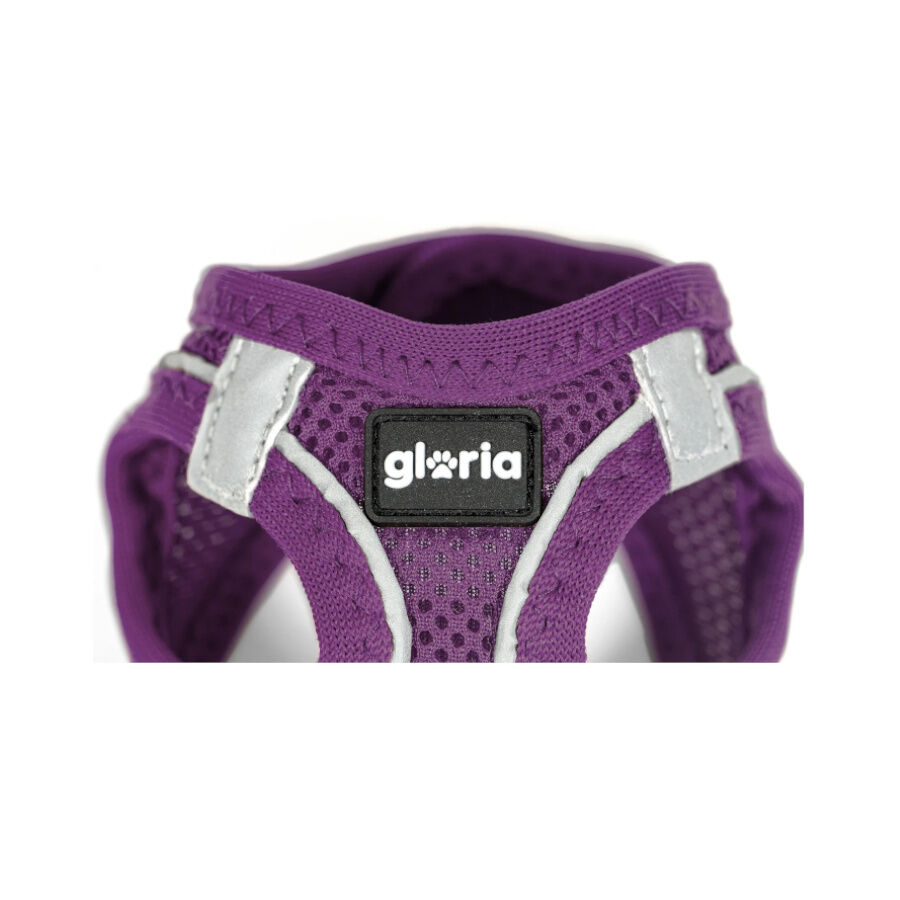 Gloria Air Mesh Trek Star Peitoral Roxo para c&atilde;es, , large Imagem n&uacute;mero 3