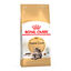 4 kg Royal Canin Adult Maine Coon ração para gatos, , large Indicador imagem número 1