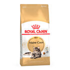Royal Canin Adult Maine Coon ração para gatos, , large image number null