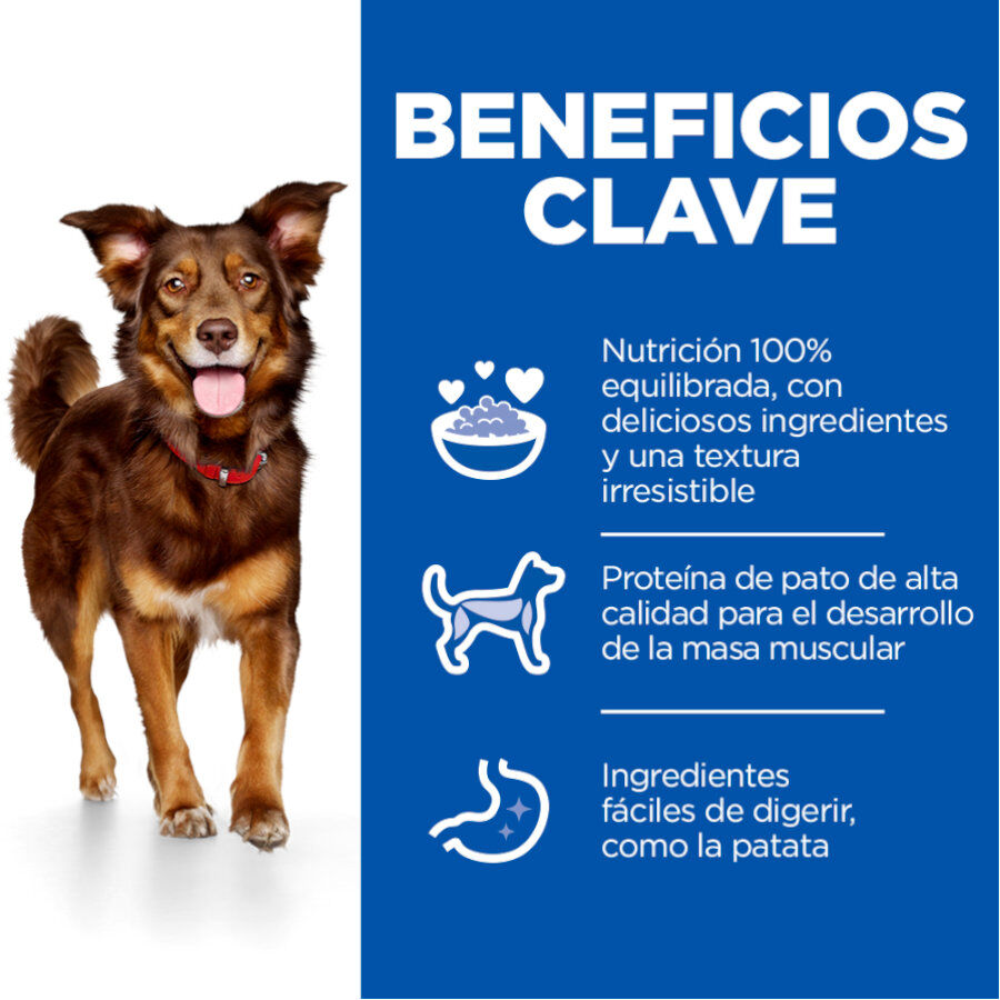 Hill's Science Plan Culinary Creations Pato e Batata ra&ccedil;&atilde;o para c&atilde;es m&eacute;dios., , large Imagem n&uacute;mero 3