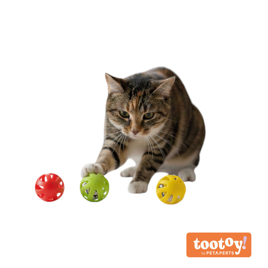 Tootoy! Chase & Play Bola interativa com guizo para gatos, , large Imagem n&uacute;mero 8