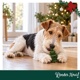 Wonder Christmas &Aacute;rvore de Couro Prensado Snacks para C&atilde;es